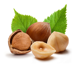 Hazelnut Oil